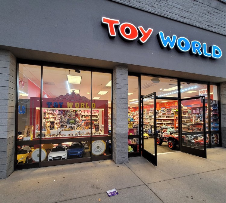 toy-sworld-photo